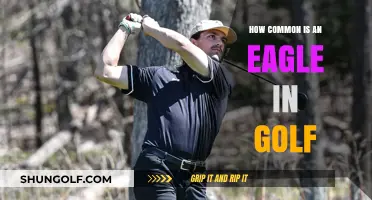 How Often Do Golfers Achieve the Elusive Eagle?