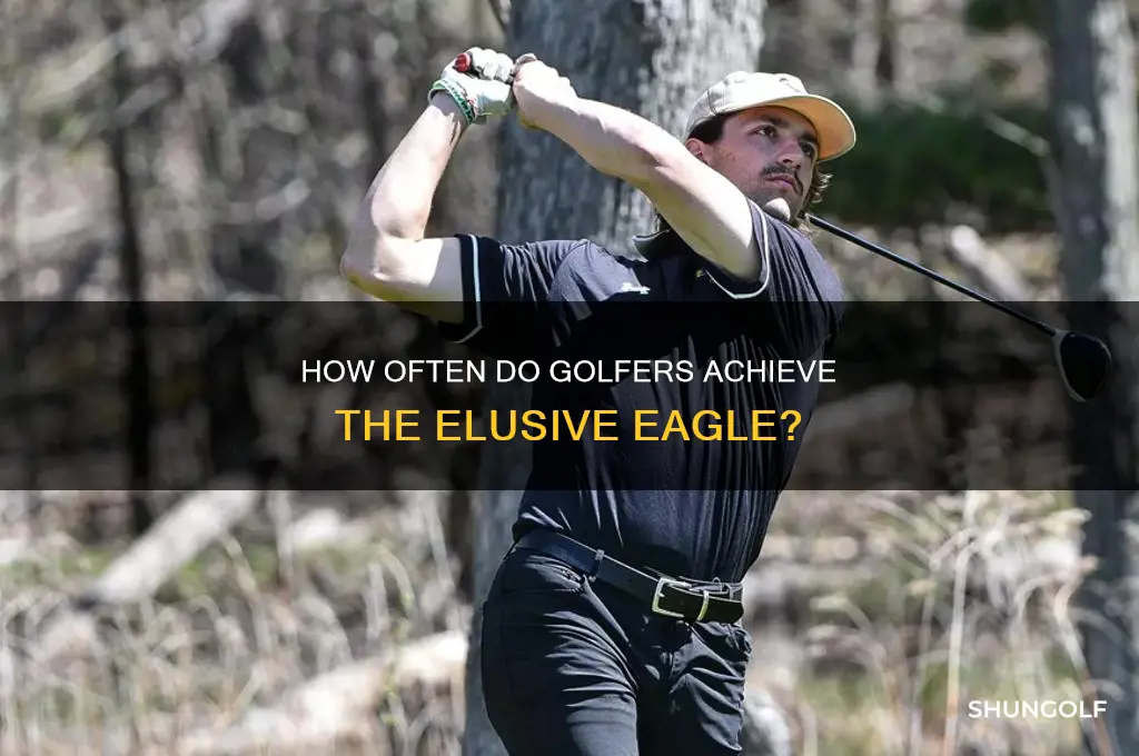 how common is an eagle in golf