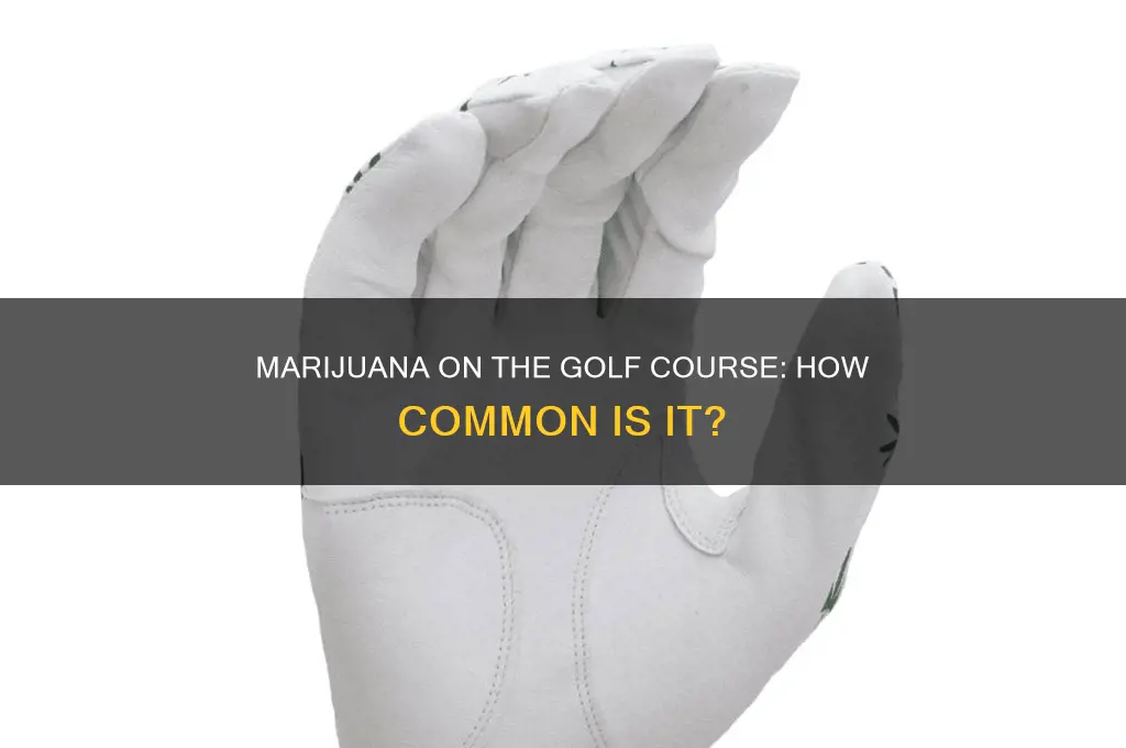 how common is marijuana on the golf course