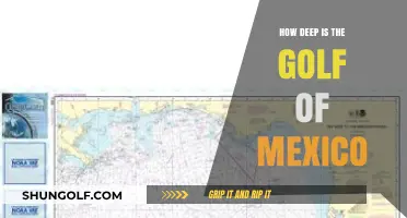 Exploring the Gulf of Mexico's Astonishing Depths and Secrets