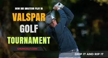 Amateur Performance Highlights at the Valspar Golf Tournament