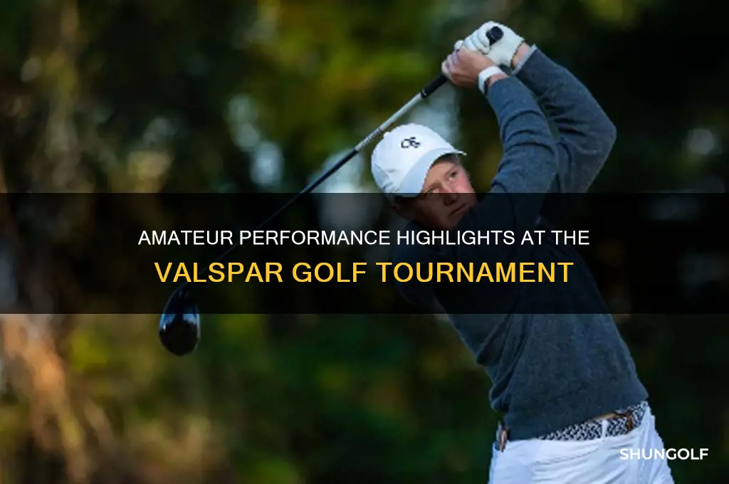 how did amateur play in valspar golf tournament