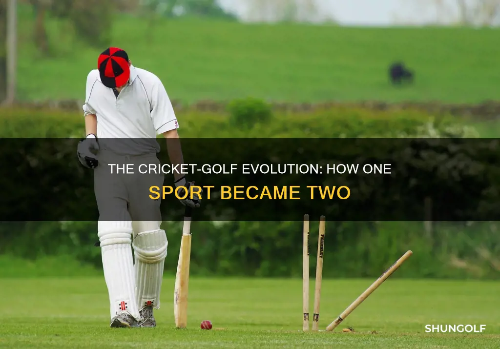 how did cricket evolved from golf