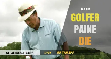 Golfer Paine's Untimely Death: What Happened?