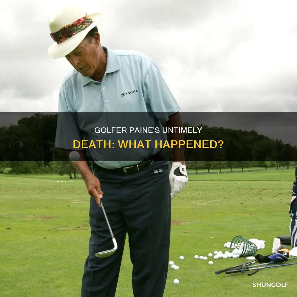 how did golfer paine die