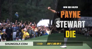 Payne Stewart's Tragic Accident: What Happened?