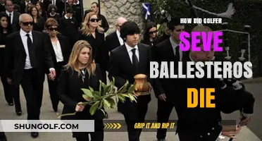 Seve Ballesteros: His Final Hole-in-One