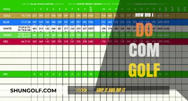 Golfing: How Did I Do?