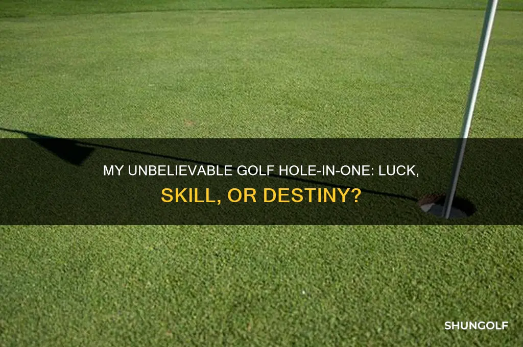 how did i do golf hole in one