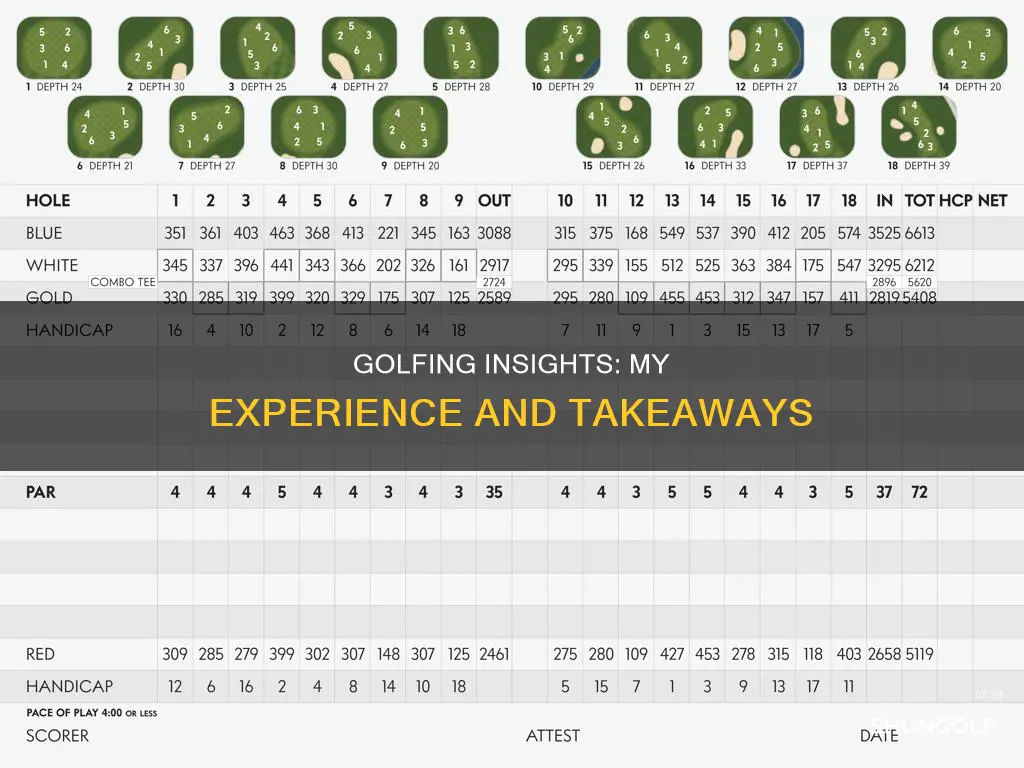 how did i do golf ie