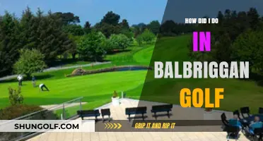 My Balbriggan Golf Experience: Reflections on Performance and Course Highlights
