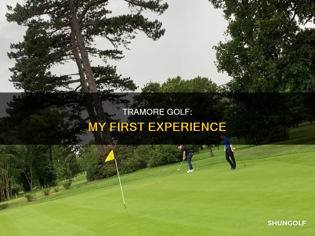 how did i do tramore golf