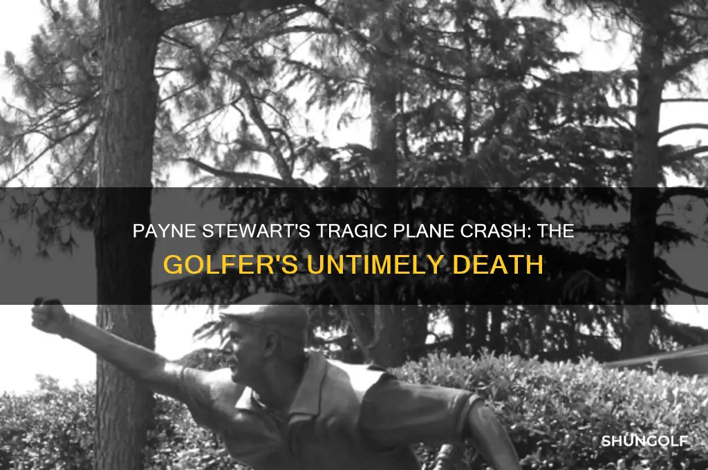 how did payne stewart die the golfer