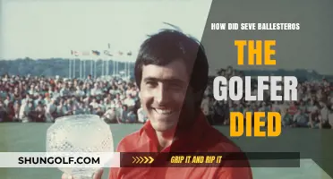 Seve Ballesteros' Tragic Death: The Golfer's Final Days Explained