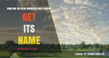 The Origin Story Behind Blue Monster Golf Course's Iconic Name