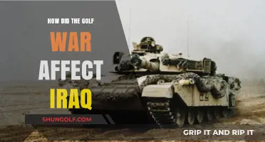 The Gulf War's Devastating Impact on Iraq: A Comprehensive Analysis