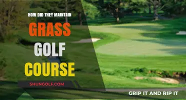 Mastering Turf Care: Secrets to Maintaining Pristine Golf Course Grass