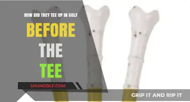 From Sand to Tee: Golf's Evolution Before Modern Tees