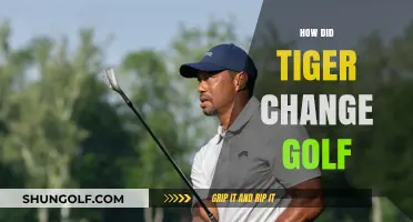 Tiger's Impact: Transforming Golf's Culture and Commercial Appeal