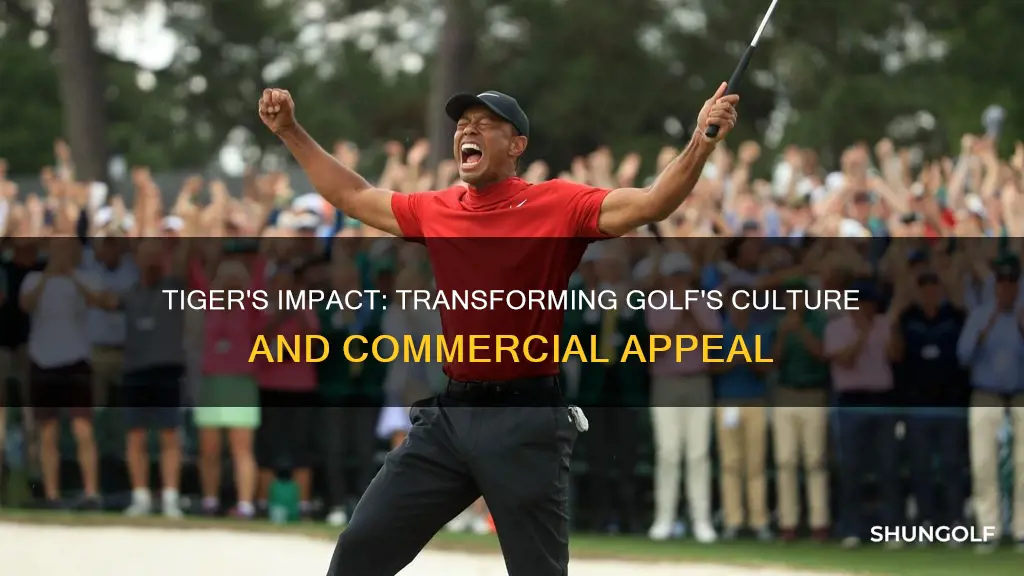 how did tiger change golf