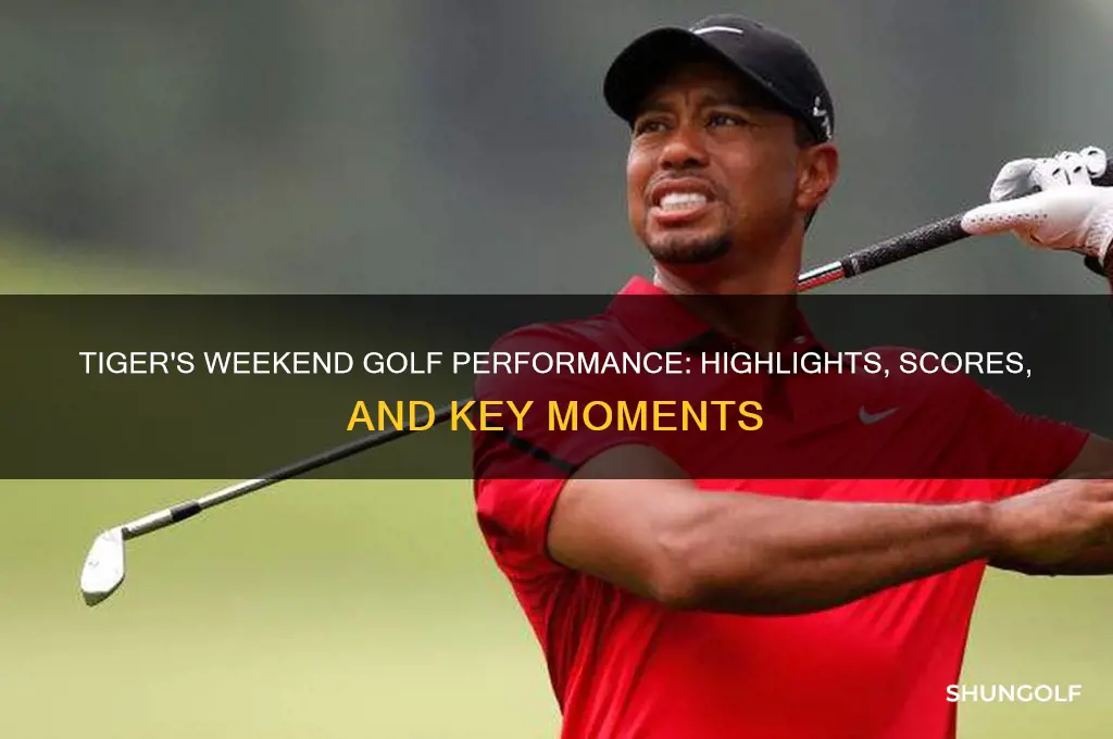 how did tiger do this weekend in golf