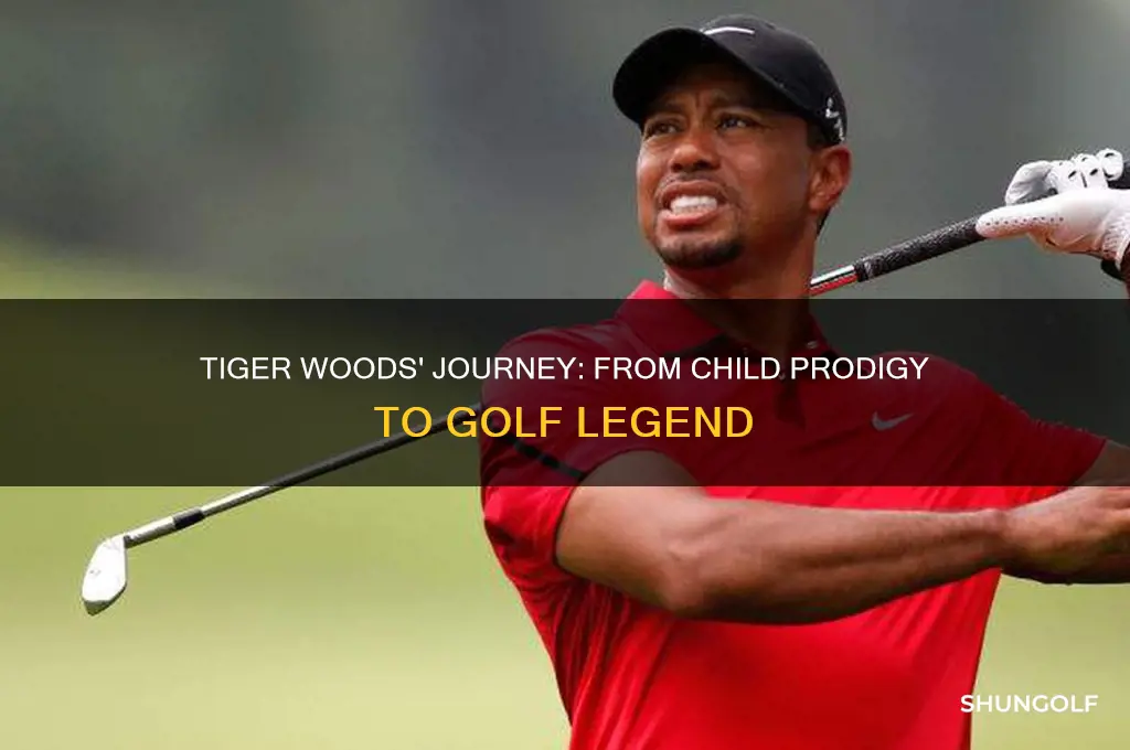 how did tiger woods becoe a golfer