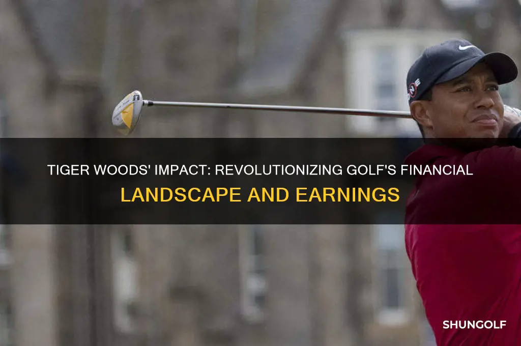 how did tiger woods change money in golf