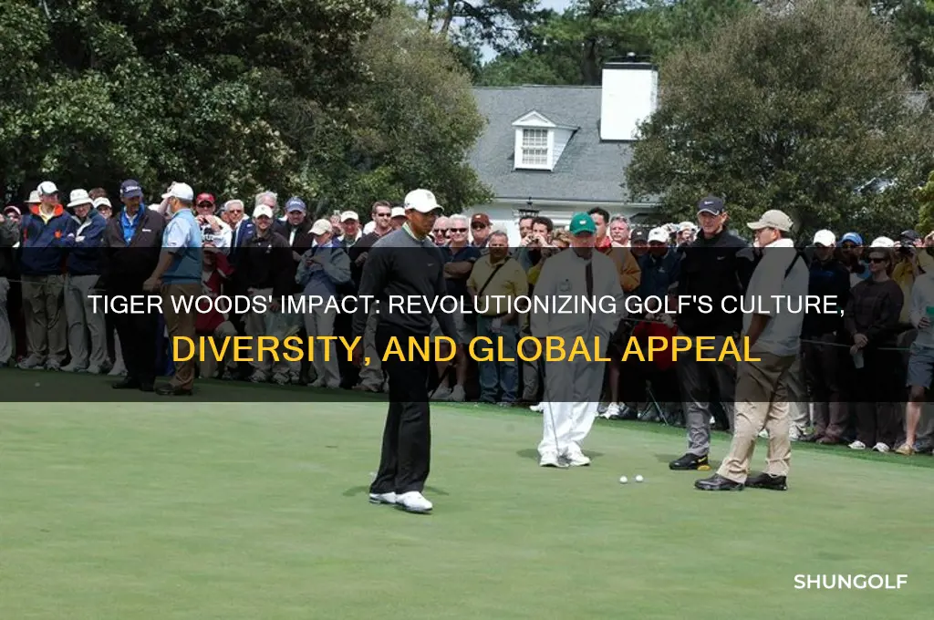 how did tiger woods change the game of golf