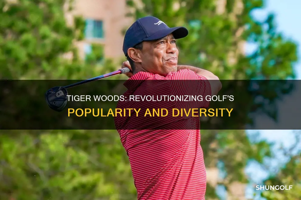 how did tiger woods impact golf