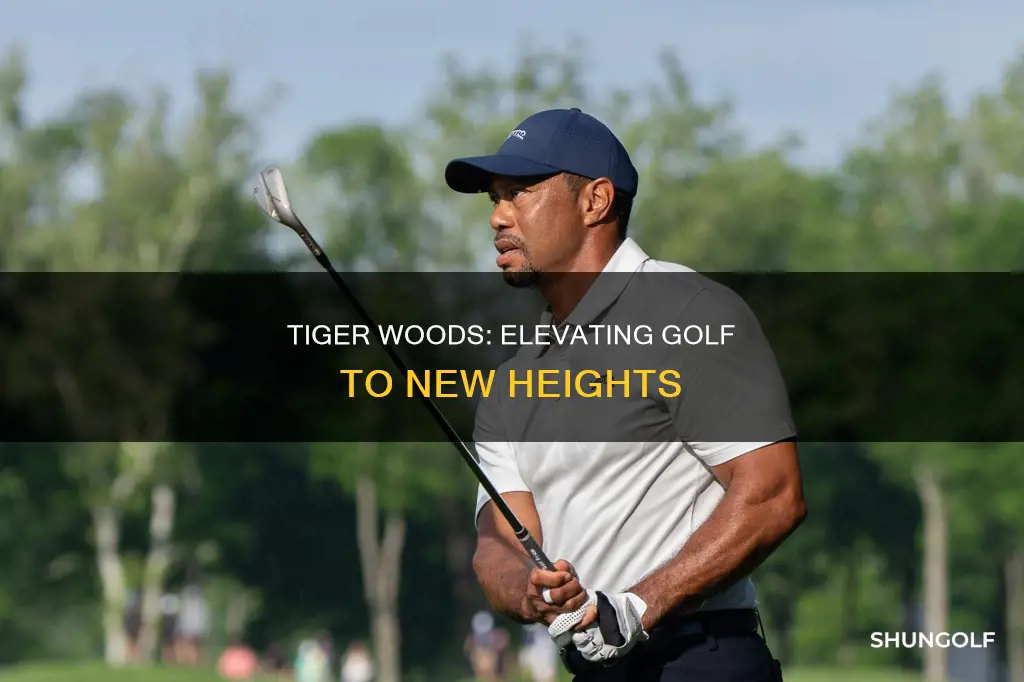 how did tiger woods revolutionize golf
