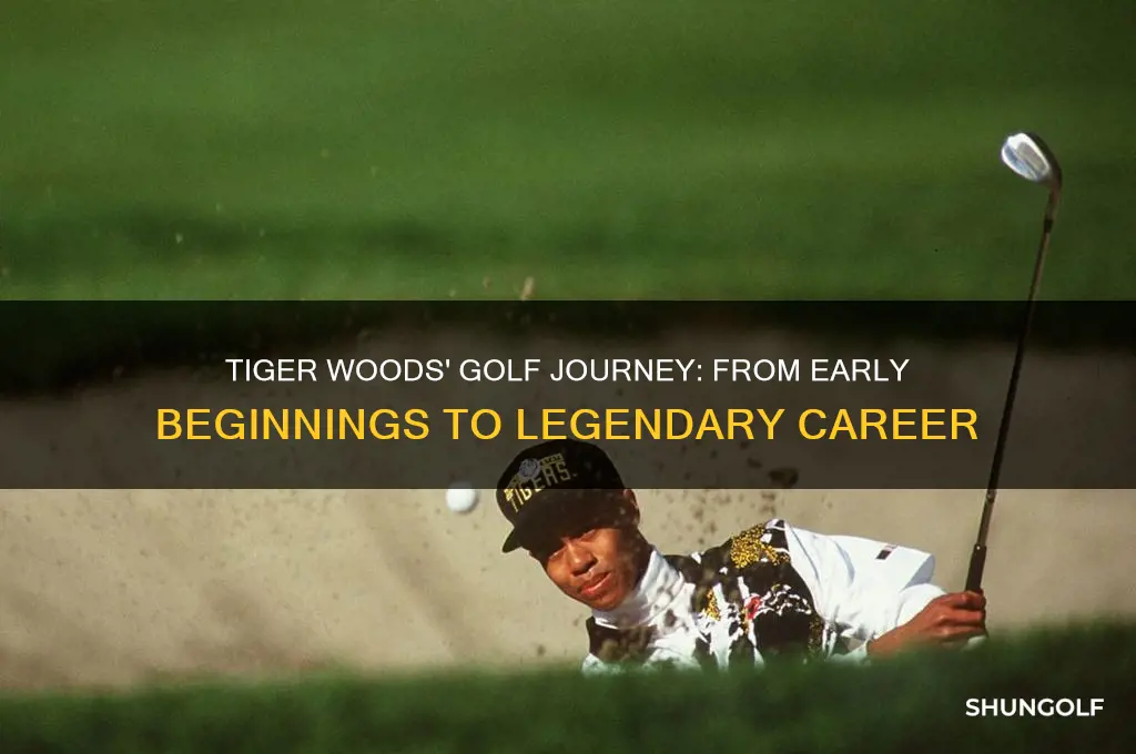 how did tiger woods start playing golf