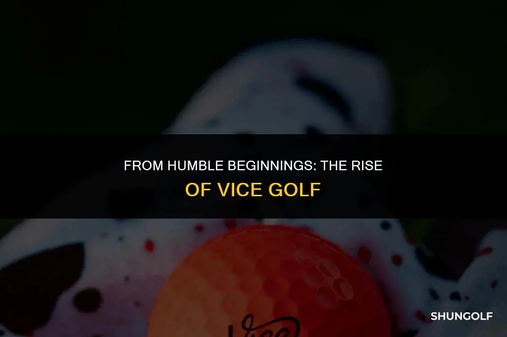 how did vice golf start