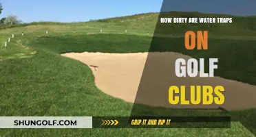 Uncovering the Hidden Grime: How Dirty Are Golf Club Water Traps?