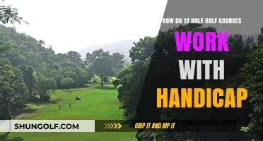 Understanding Handicap Adjustments on 12-Hole Golf Courses: A Comprehensive Guide