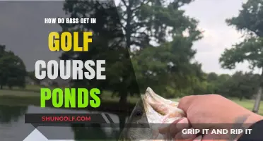 How Bass Populate Golf Course Ponds: Surprising Migration Secrets