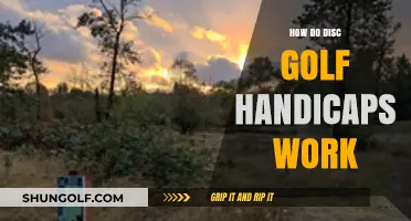 Understanding Disc Golf Handicaps: A Beginner's Guide to Fair Play