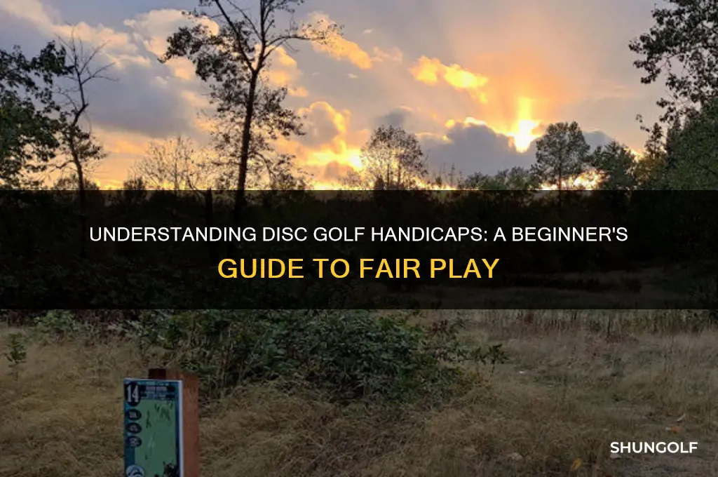 how do disc golf handicaps work