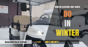 Winter Performance of Electric Golf Carts: Tips and Challenges
