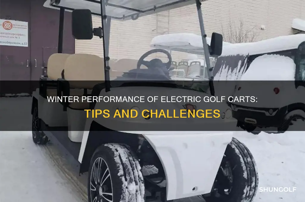 how do electric golf carts do in winter