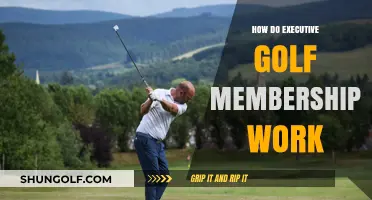Executive Golf Memberships: Benefits and Privileges