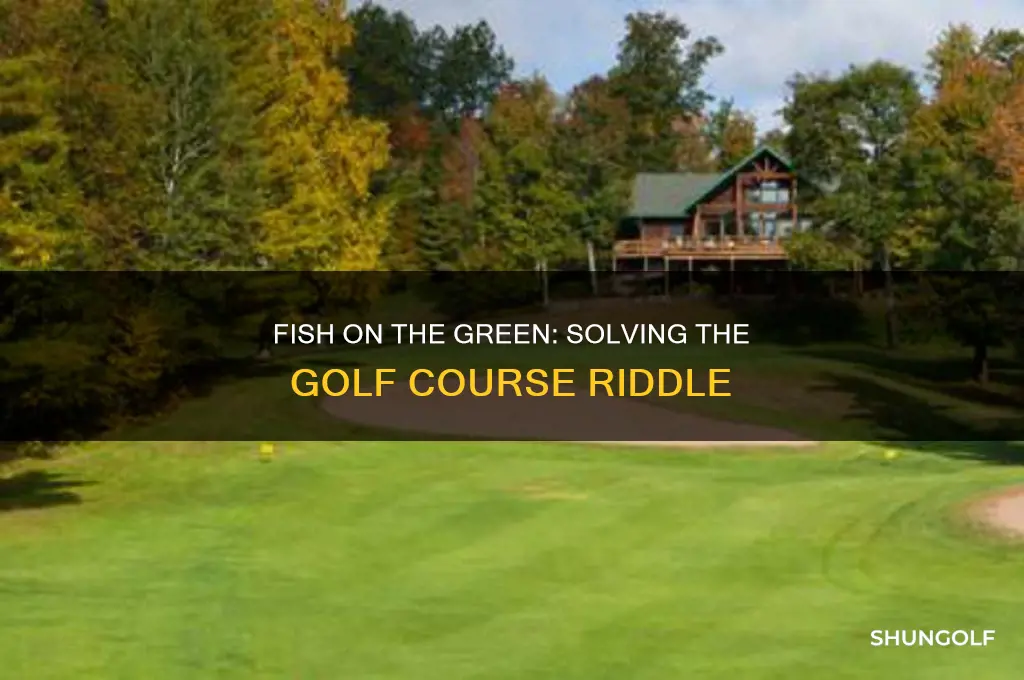 how do fish get around a golf course riddle