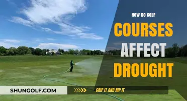 Golf Courses and Drought: Environmental Impact and Sustainable Solutions
