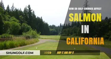 Golf Courses and Salmon: Environmental Impact in California's Ecosystems