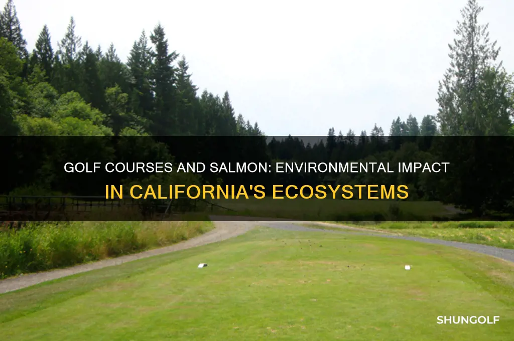 how do golf courses affect salmon in california