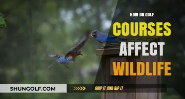 Golf Courses and Wildlife: Impact, Conservation, and Coexistence Explored