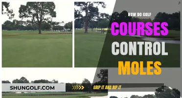 Effective Mole Management Strategies for Golf Course Maintenance