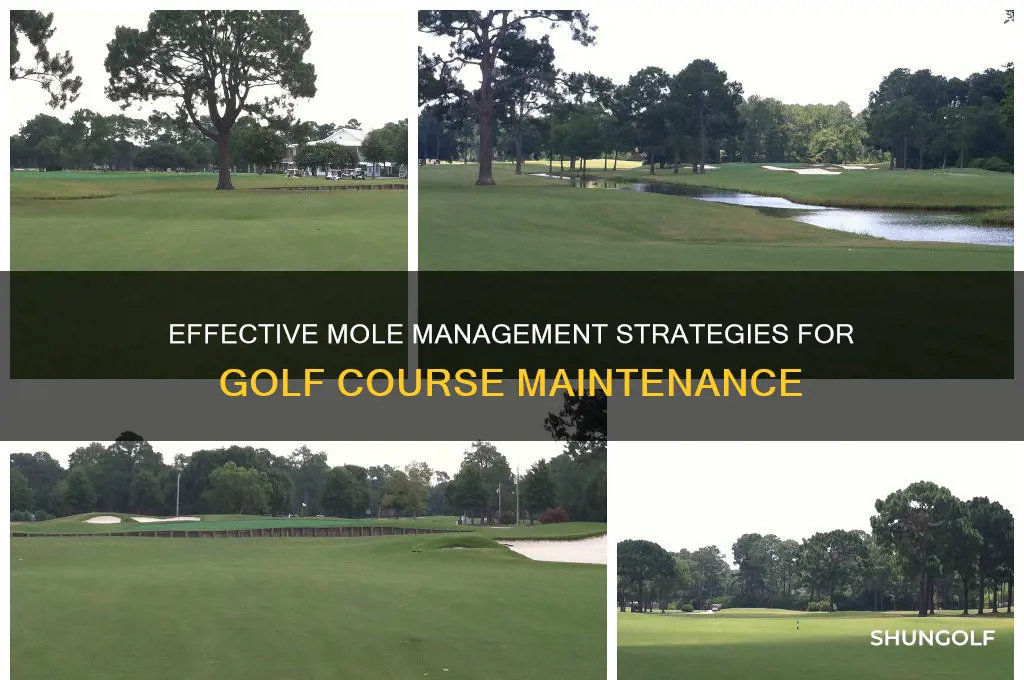 how do golf courses control moles