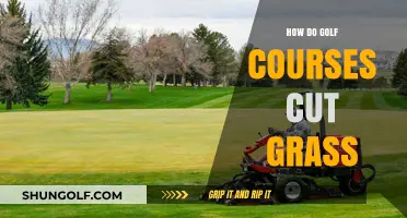 Mastering Turf Care: Techniques Golf Courses Use to Cut Grass