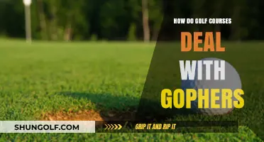 Managing Gopher Infestations: Strategies for Golf Course Maintenance and Care