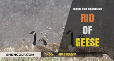 Effective Strategies Golf Courses Use to Deter Geese and Maintain Greens